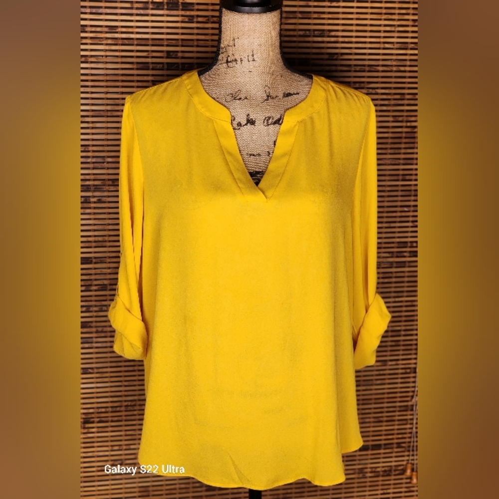 Chaus Sunny V-Neck Blouse